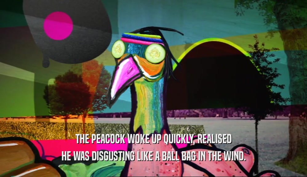 THE PEACOCK WOKE UP QUICKLY, REALISED HE WAS DISGUSTING LIKE A BALL BAG IN THE WIND. 