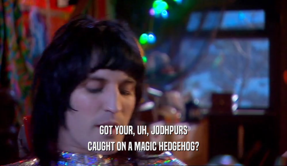 GOT YOUR, UH, JODHPURS
 CAUGHT ON A MAGIC HEDGEHOG?
 