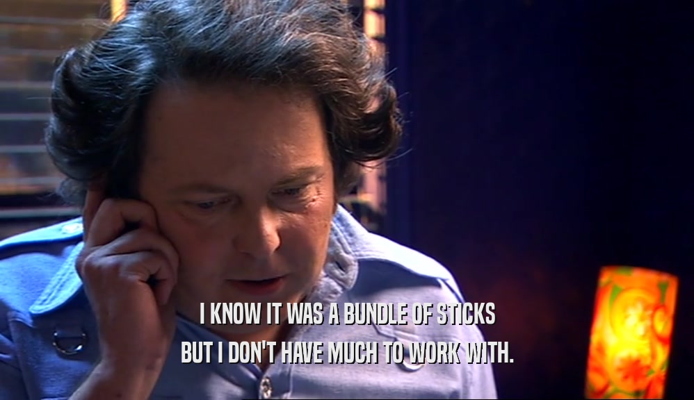 I KNOW IT WAS A BUNDLE OF STICKS BUT I DON'T HAVE MUCH TO WORK WITH. 