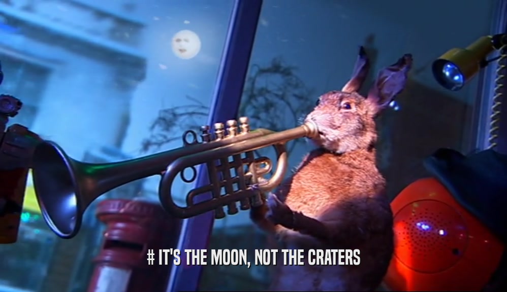 # IT'S THE MOON, NOT THE CRATERS  