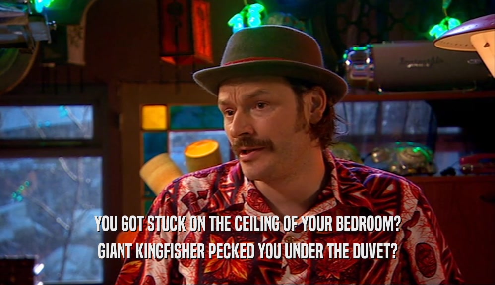 YOU GOT STUCK ON THE CEILING OF YOUR BEDROOM?
 GIANT KINGFISHER PECKED YOU UNDER THE DUVET?
 