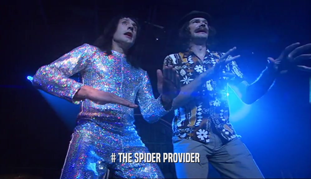 # THE SPIDER PROVIDER  