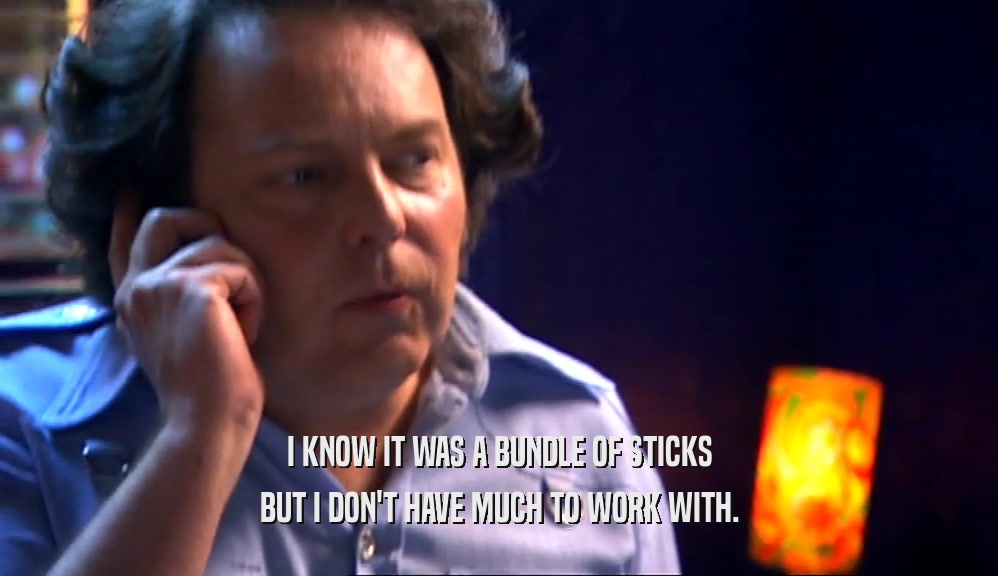 I KNOW IT WAS A BUNDLE OF STICKS BUT I DON'T HAVE MUCH TO WORK WITH. 