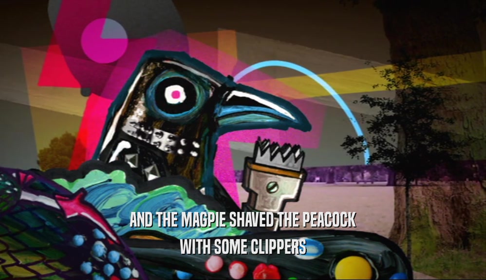 AND THE MAGPIE SHAVED THE PEACOCK
 WITH SOME CLIPPERS
 
