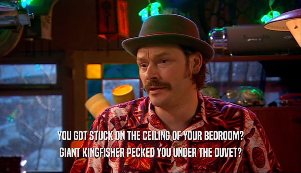 YOU GOT STUCK ON THE CEILING OF YOUR BEDROOM?
 GIANT KINGFISHER PECKED YOU UNDER THE DUVET?
 