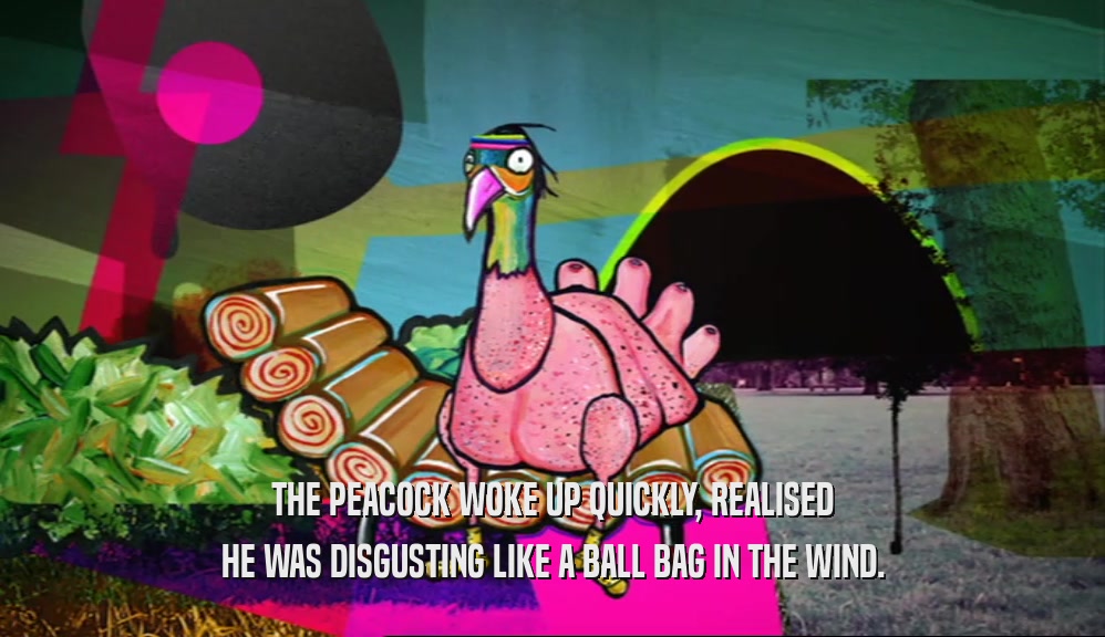 THE PEACOCK WOKE UP QUICKLY, REALISED HE WAS DISGUSTING LIKE A BALL BAG IN THE WIND. 