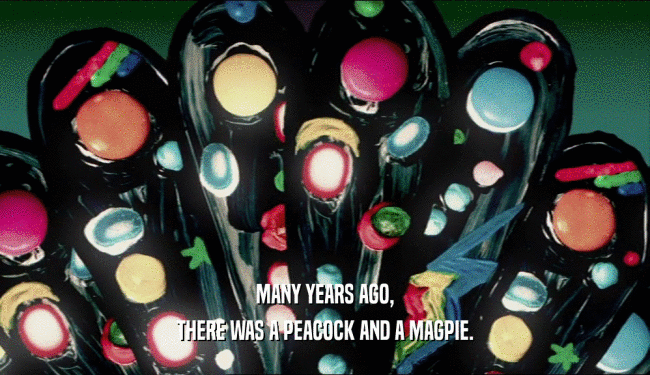MANY YEARS AGO, THERE WAS A PEACOCK AND A MAGPIE. 