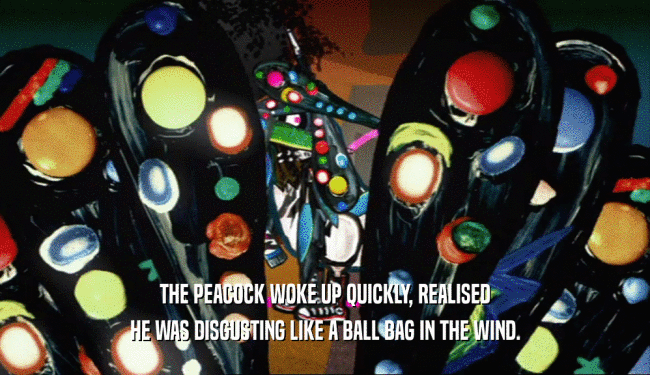 THE PEACOCK WOKE UP QUICKLY, REALISED HE WAS DISGUSTING LIKE A BALL BAG IN THE WIND. 