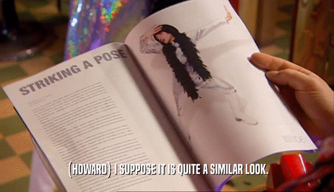 (HOWARD) I SUPPOSE IT IS QUITE A SIMILAR LOOK.  