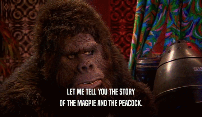 LET ME TELL YOU THE STORY OF THE MAGPIE AND THE PEACOCK. 
