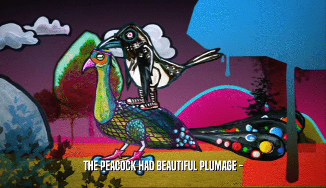 THE PEACOCK HAD BEAUTIFUL PLUMAGE -
  