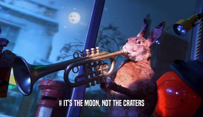 # IT'S THE MOON, NOT THE CRATERS  