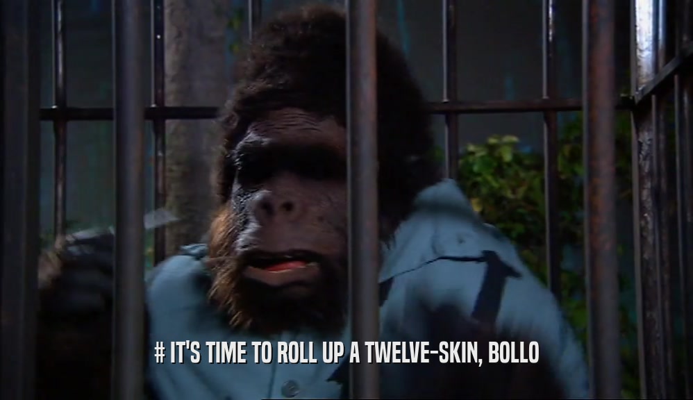 # IT'S TIME TO ROLL UP A TWELVE-SKIN, BOLLO  