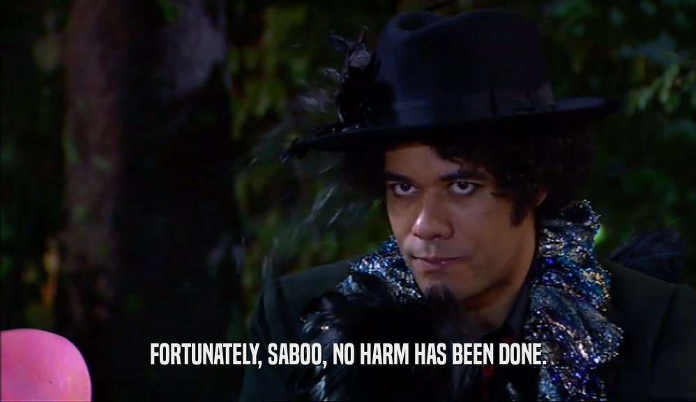 FORTUNATELY, SABOO, NO HARM HAS BEEN DONE.  