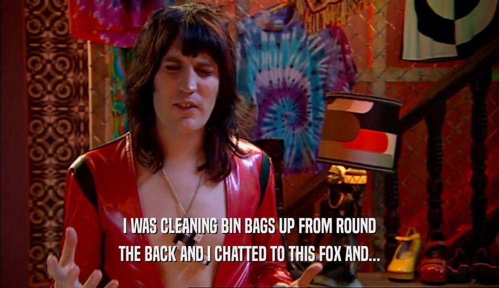 I WAS CLEANING BIN BAGS UP FROM ROUND THE BACK AND I CHATTED TO THIS FOX AND... 