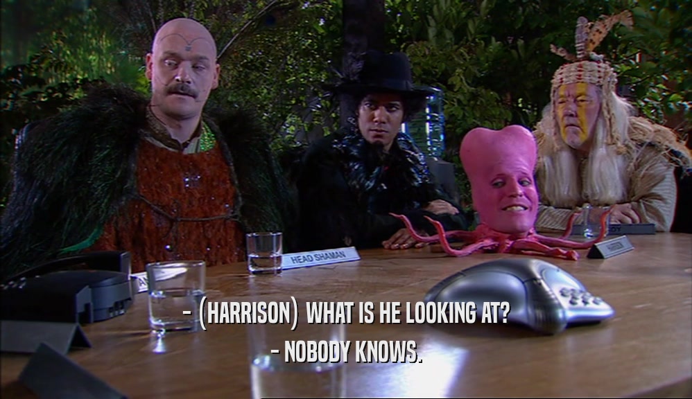 - (HARRISON) WHAT IS HE LOOKING AT? - NOBODY KNOWS. 