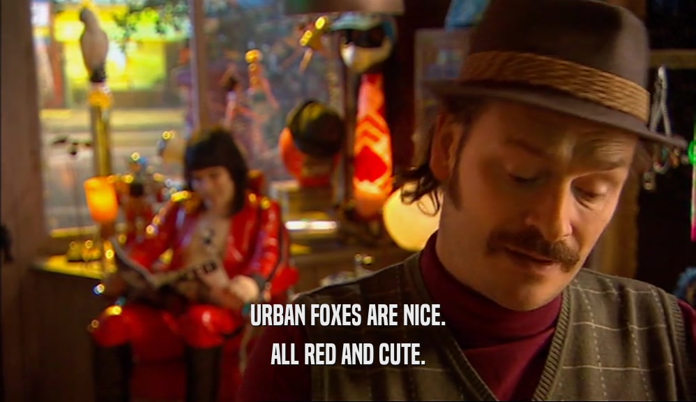 URBAN FOXES ARE NICE. ALL RED AND CUTE. 
