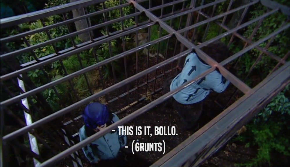 - THIS IS IT, BOLLO. - (GRUNTS) 