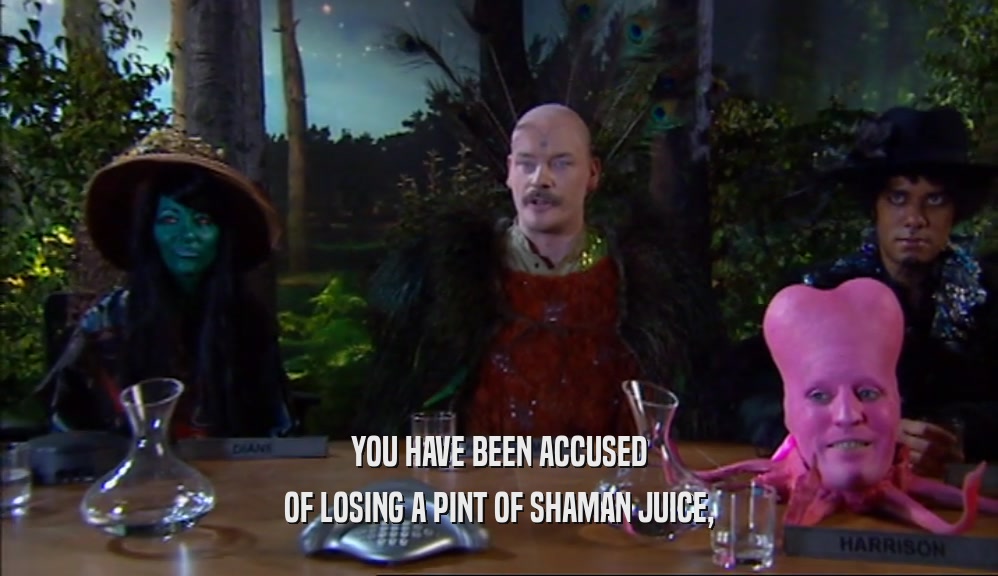 YOU HAVE BEEN ACCUSED OF LOSING A PINT OF SHAMAN JUICE, 