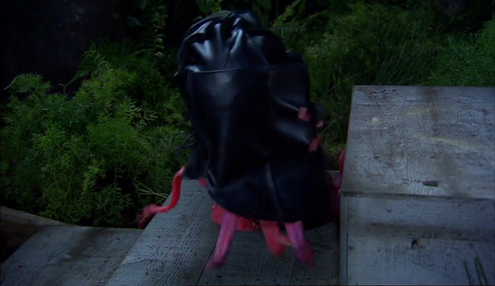 SO TO PROTECT THE IDENTITY OF THE EXECUTIONER, HE SHALL BE WEARING A HOOD. 