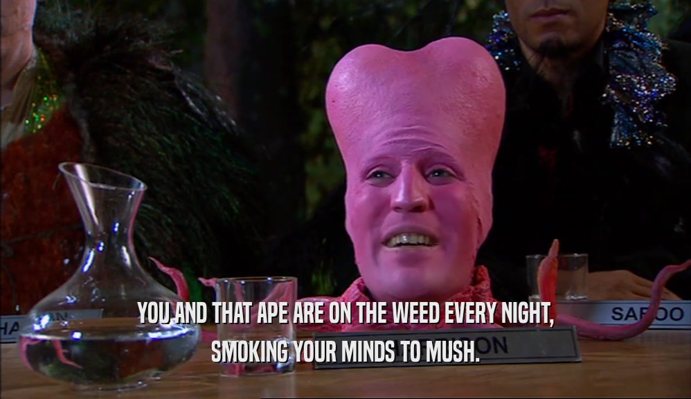 YOU AND THAT APE ARE ON THE WEED EVERY NIGHT, SMOKING YOUR MINDS TO MUSH. 