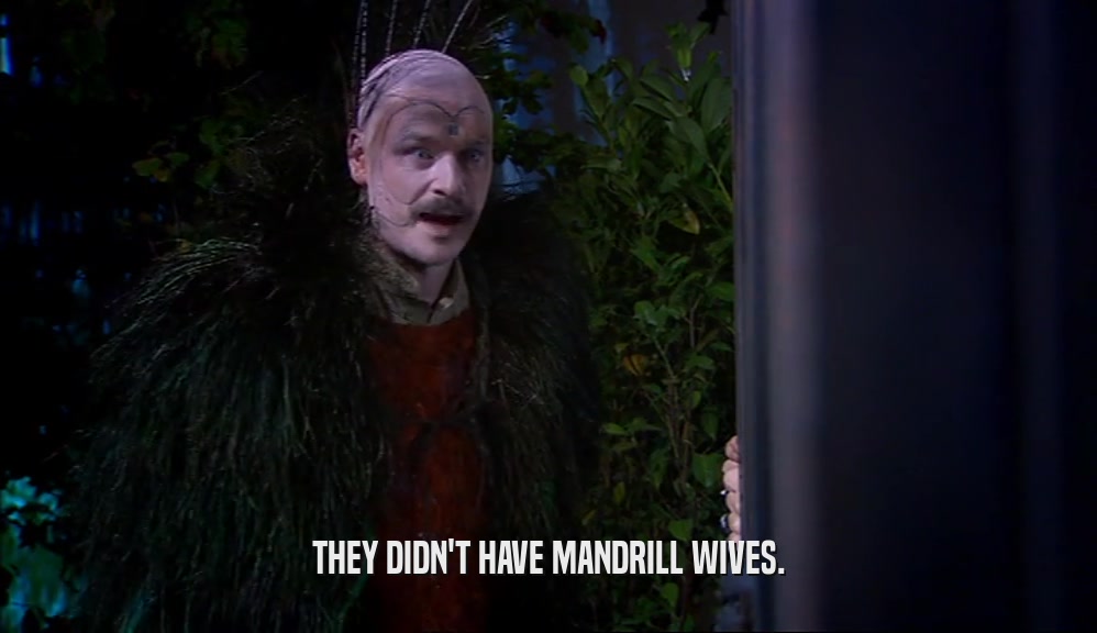 THEY DIDN'T HAVE MANDRILL WIVES.
  