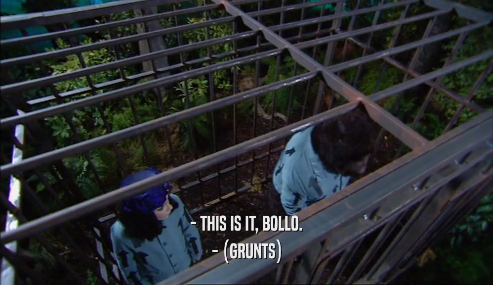 - THIS IS IT, BOLLO. - (GRUNTS) 