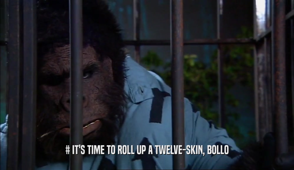 # IT'S TIME TO ROLL UP A TWELVE-SKIN, BOLLO  