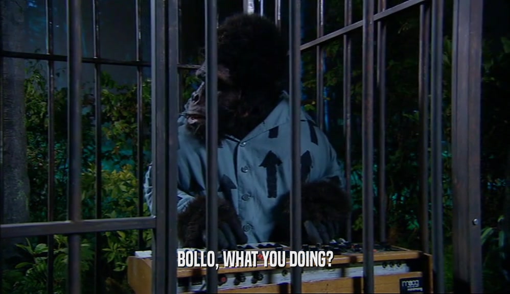 BOLLO, WHAT YOU DOING?  