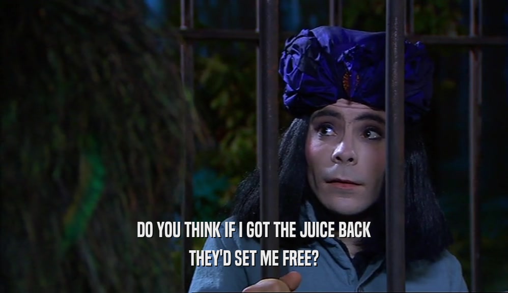 DO YOU THINK IF I GOT THE JUICE BACK THEY'D SET ME FREE? 