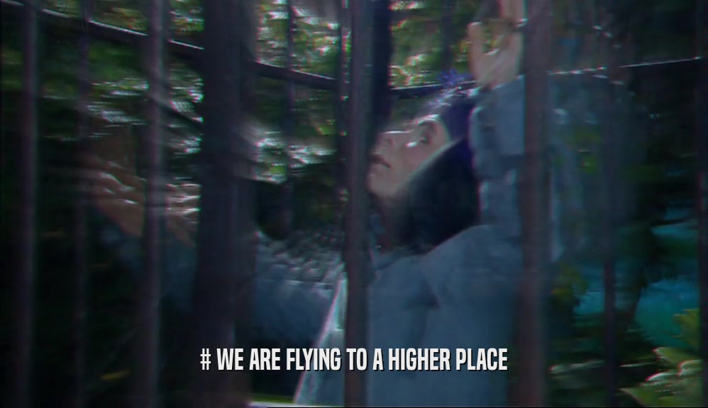# WE ARE FLYING TO A HIGHER PLACE  