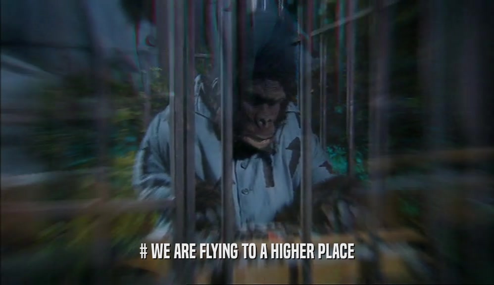 # WE ARE FLYING TO A HIGHER PLACE  