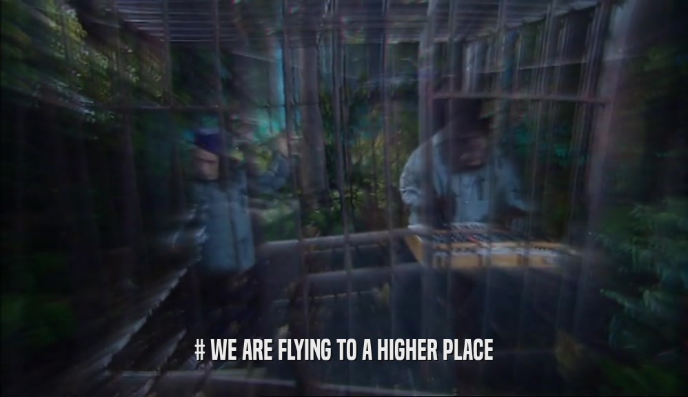 # WE ARE FLYING TO A HIGHER PLACE  