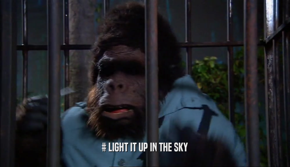 # LIGHT IT UP IN THE SKY  