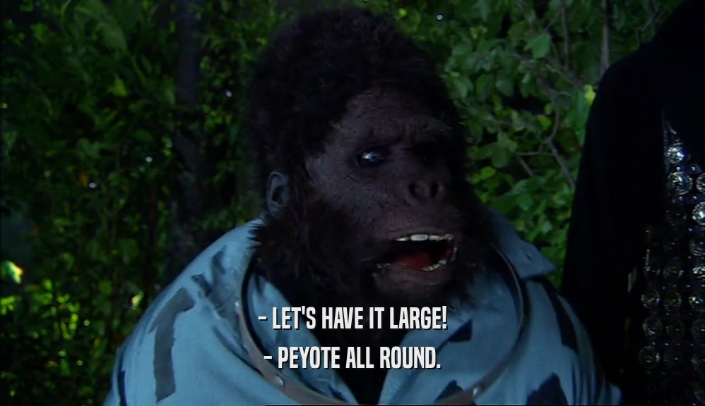 - LET'S HAVE IT LARGE! - PEYOTE ALL ROUND. 