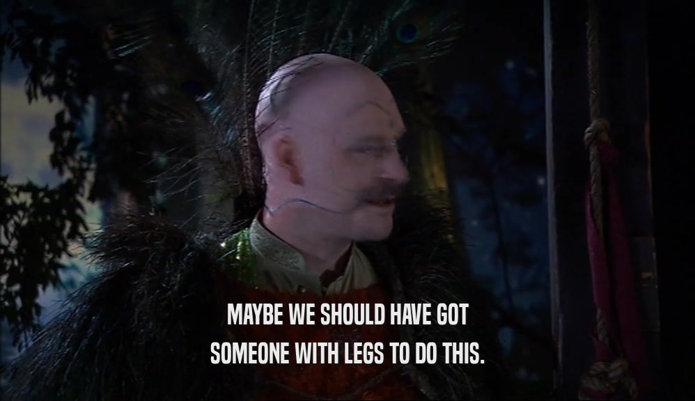 MAYBE WE SHOULD HAVE GOT SOMEONE WITH LEGS TO DO THIS. 