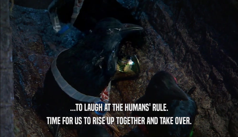 ...TO LAUGH AT THE HUMANS' RULE. TIME FOR US TO RISE UP TOGETHER AND TAKE OVER. 