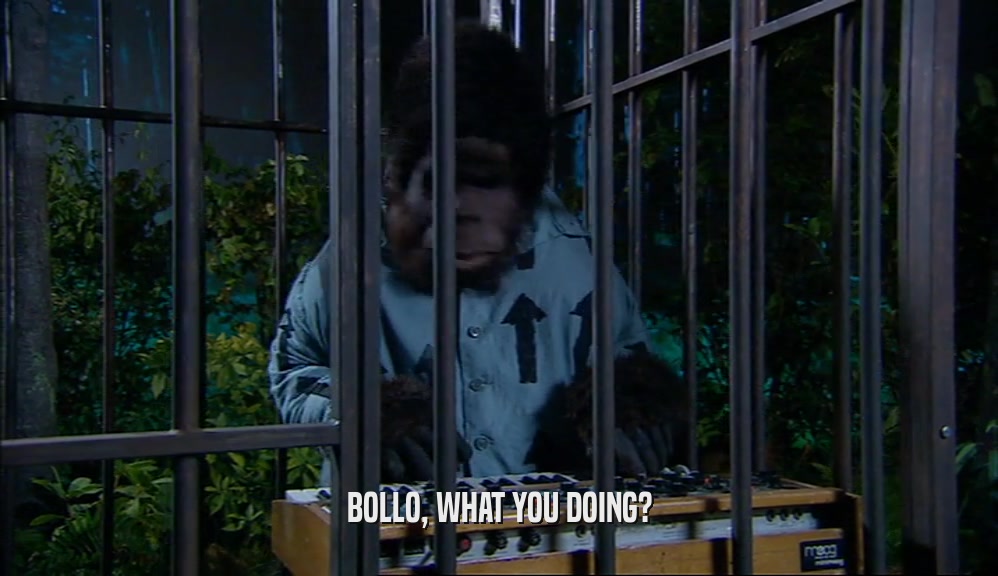 BOLLO, WHAT YOU DOING?  