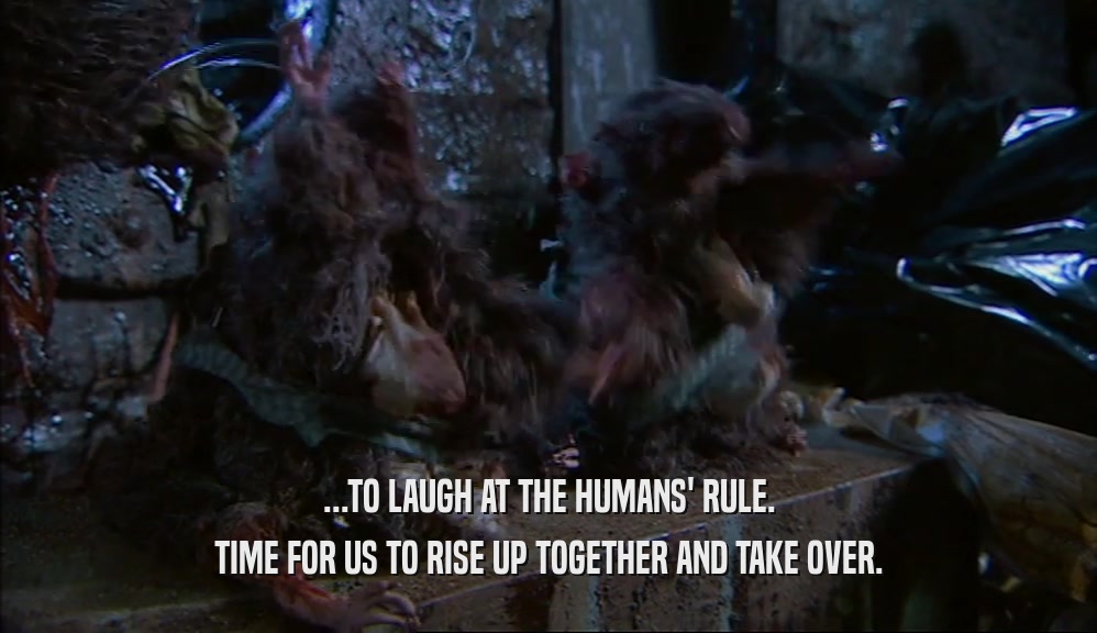 ...TO LAUGH AT THE HUMANS' RULE. TIME FOR US TO RISE UP TOGETHER AND TAKE OVER. 