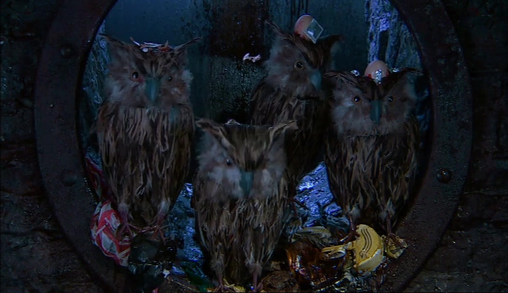 ...TO LAUGH AT THE HUMANS' RULE. TIME FOR US TO RISE UP TOGETHER AND TAKE OVER. 