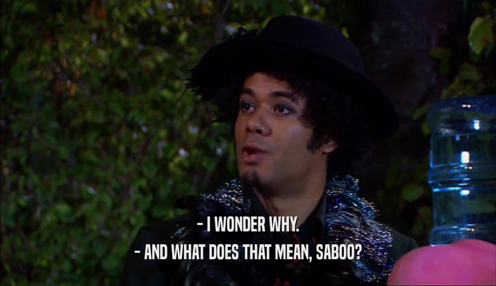 - I WONDER WHY.
 - AND WHAT DOES THAT MEAN, SABOO?
 