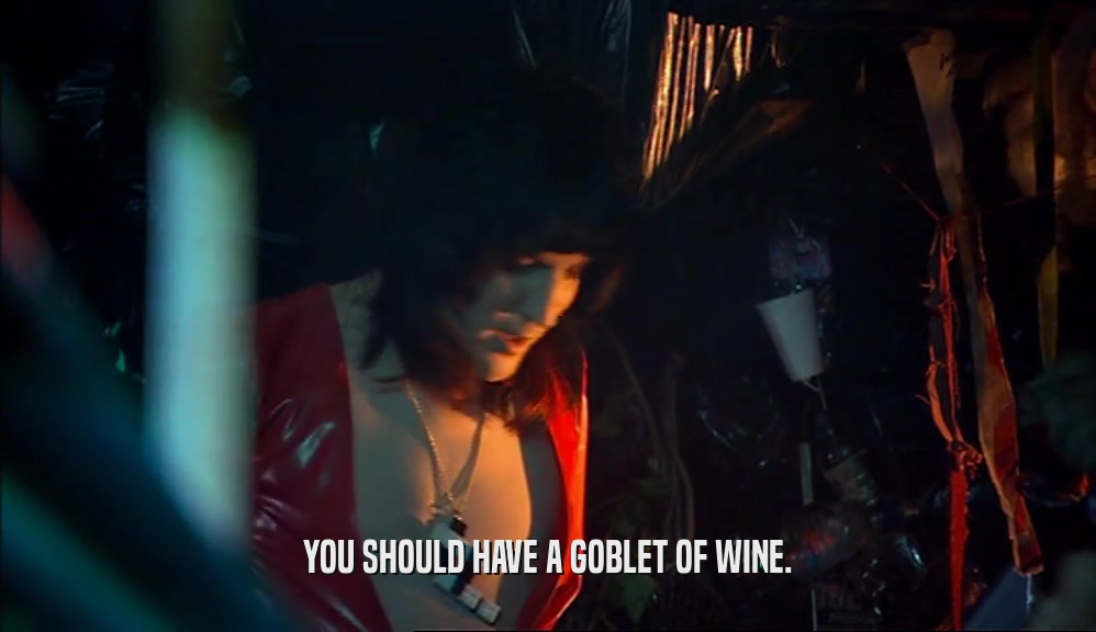 YOU SHOULD HAVE A GOBLET OF WINE.  