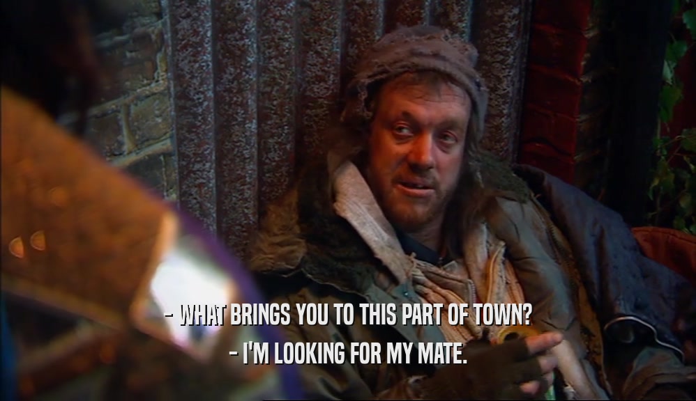 - WHAT BRINGS YOU TO THIS PART OF TOWN? - I'M LOOKING FOR MY MATE. 
