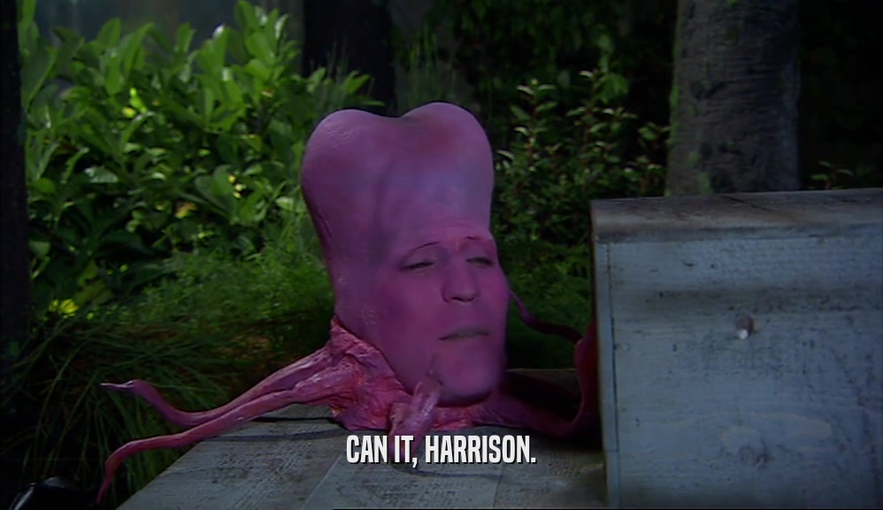 CAN IT, HARRISON.  