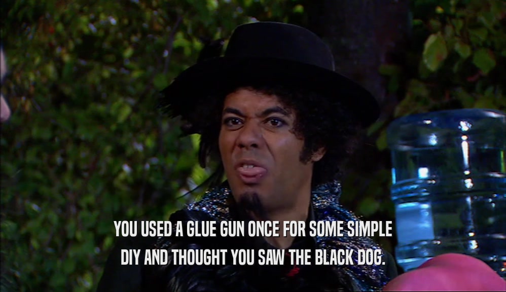 YOU USED A GLUE GUN ONCE FOR SOME SIMPLE
 DIY AND THOUGHT YOU SAW THE BLACK DOG.
 