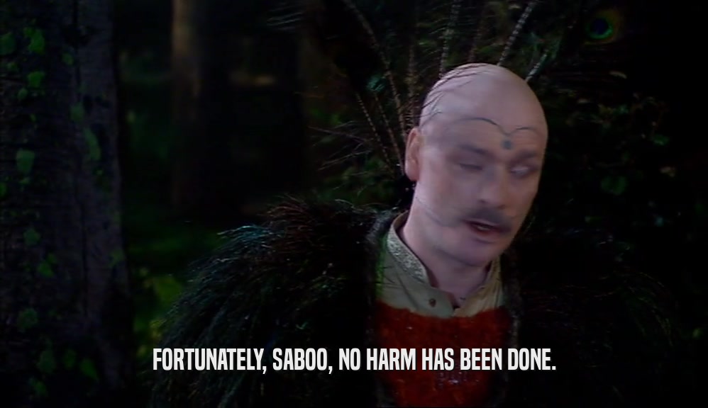 FORTUNATELY, SABOO, NO HARM HAS BEEN DONE.  