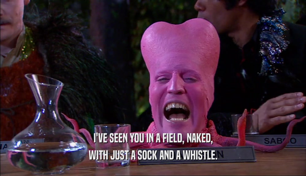 I'VE SEEN YOU IN A FIELD, NAKED,
 WITH JUST A SOCK AND A WHISTLE.
 
