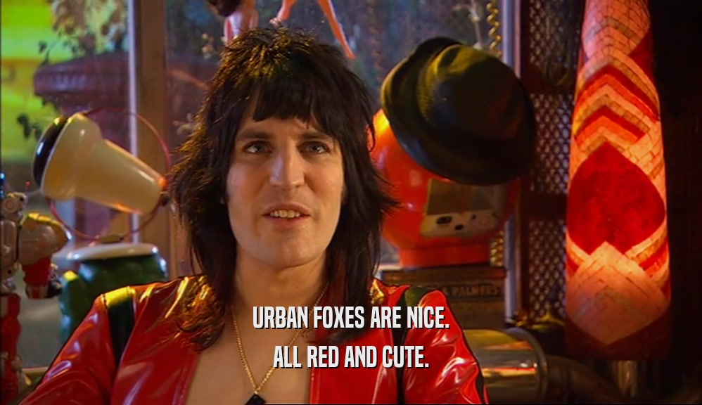 URBAN FOXES ARE NICE. ALL RED AND CUTE. 