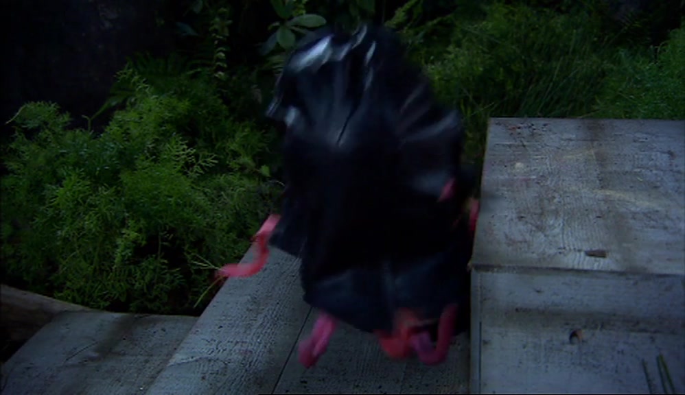 SO TO PROTECT THE IDENTITY OF THE EXECUTIONER, HE SHALL BE WEARING A HOOD. 
