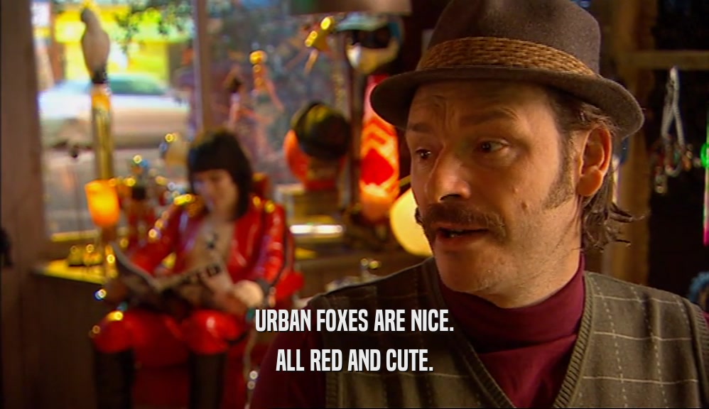 URBAN FOXES ARE NICE. ALL RED AND CUTE. 